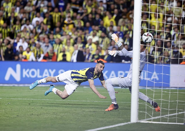 骼构建起她 骼构建起她