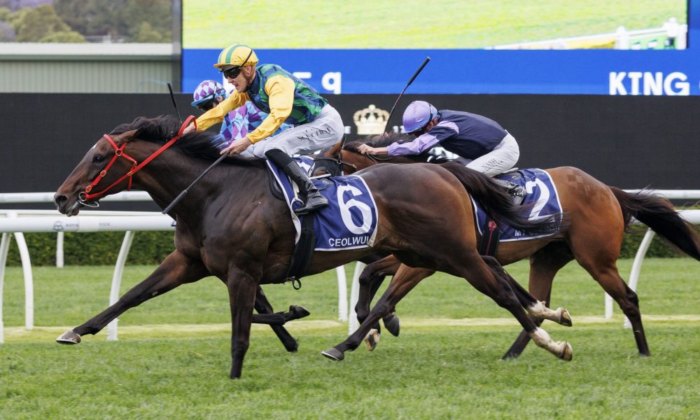 广泛的职业 广泛的职业